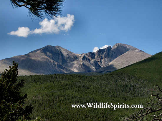 Click Picture to send as an  E-PostCard 64k 550x412